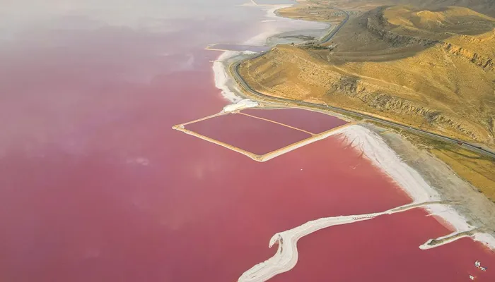 انواع نمک